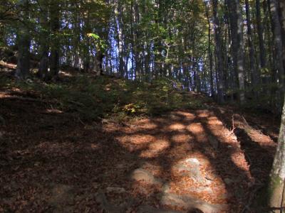 Прикрепленное изображение: DSCF5867.jpg